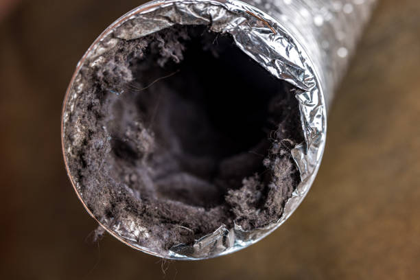Best Affordable Duct Cleaning Services  in Atkinson, NE